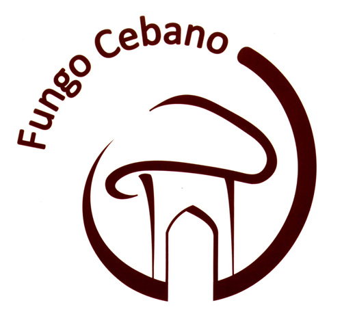 Fungo cebano