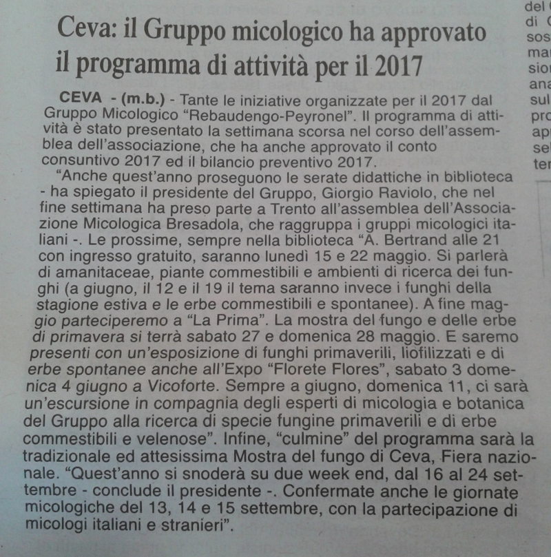 Articolo