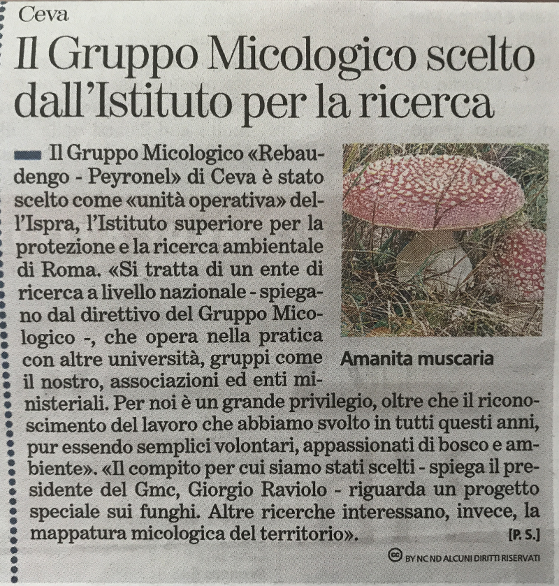 Articolo