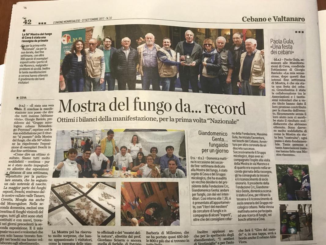 Articolo
