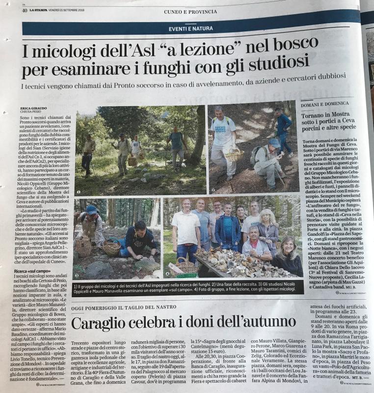 Articolo