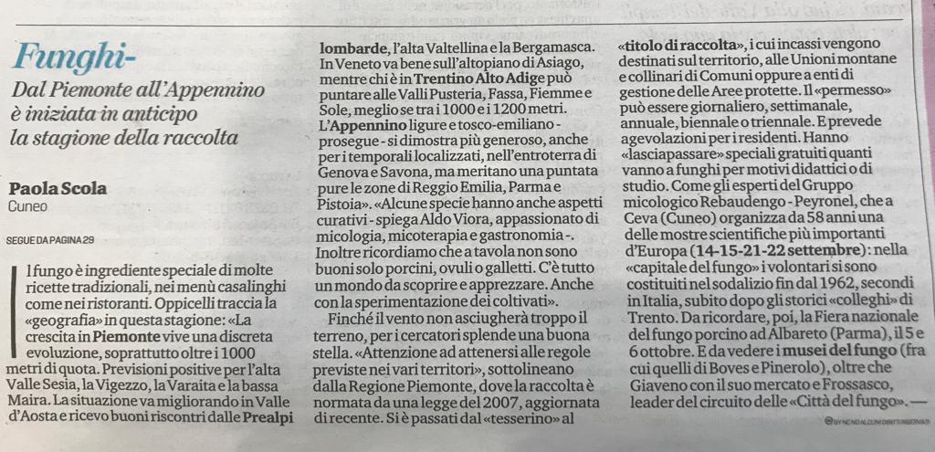 Articolo